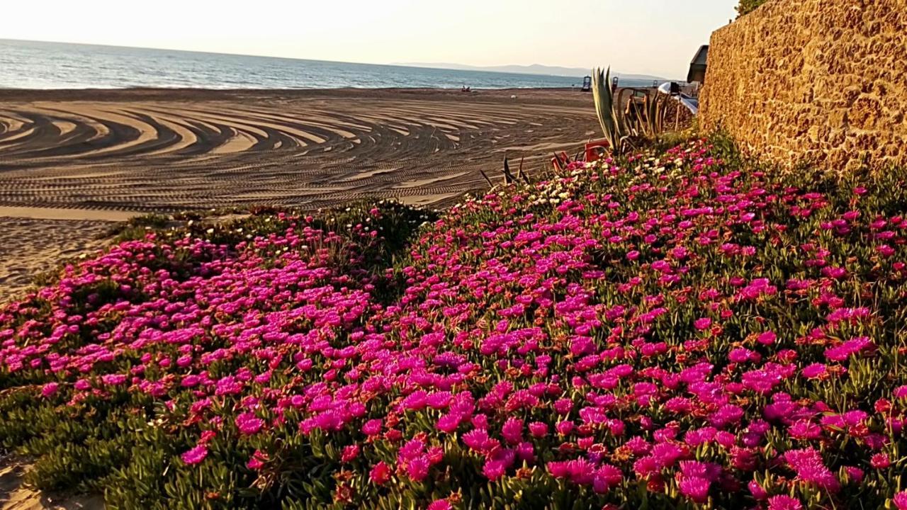 Hotel Lupo Di Mare Marina di Castagneto Carducci Luaran gambar