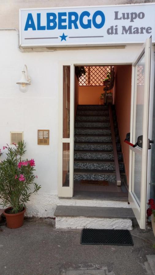 Hotel Lupo Di Mare Marina di Castagneto Carducci Luaran gambar